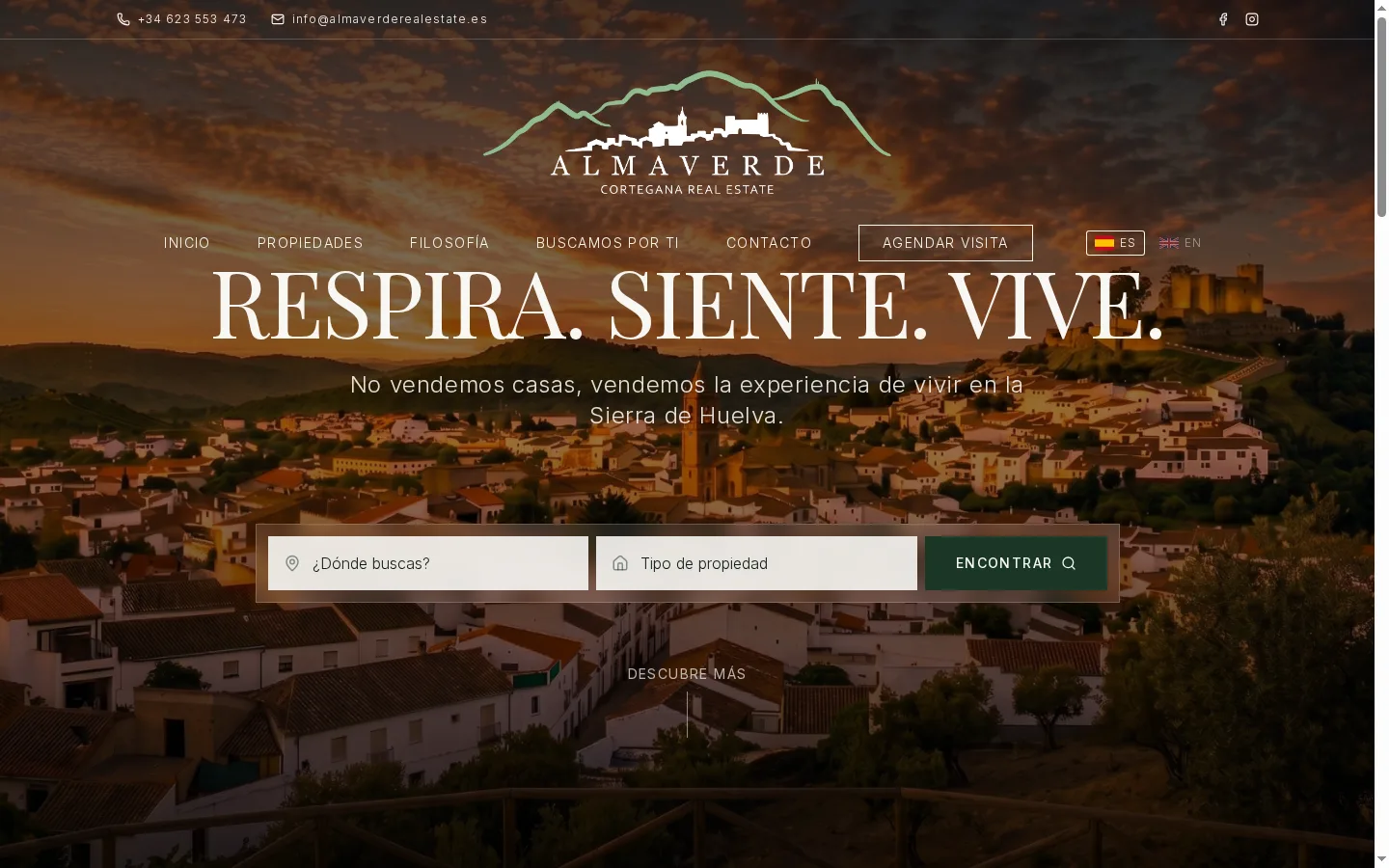 Portal inmobiliario AlmaVerde en producción